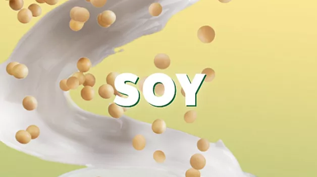Soy